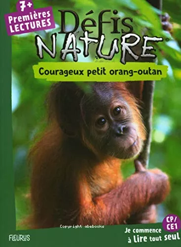 Courageux petit orang-outan