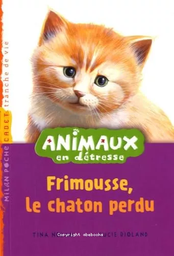 Frimousse, le chaton perdu