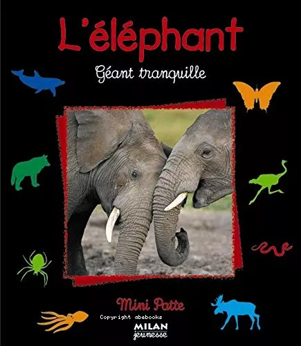L'Elephant gant tranquille