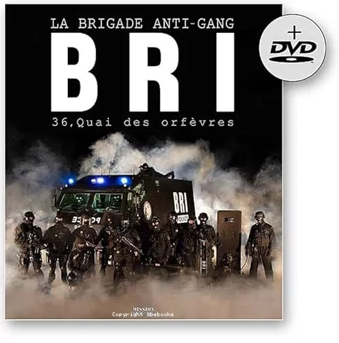 BRI, la brigade anti-gang