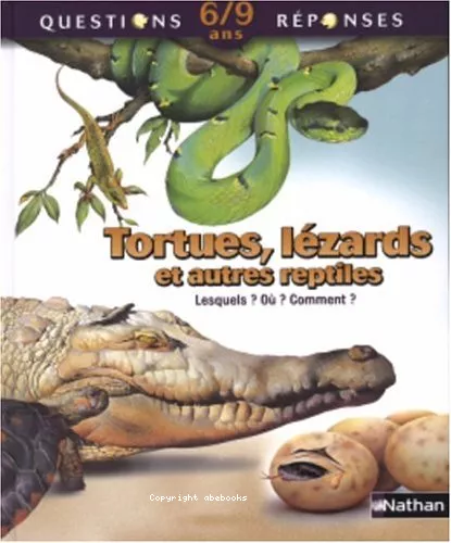 Tortues, lzards et autres reptiles