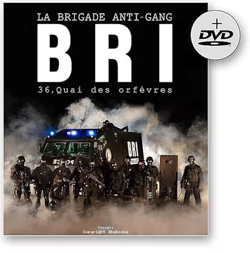 BRI, la brigade anti-gang