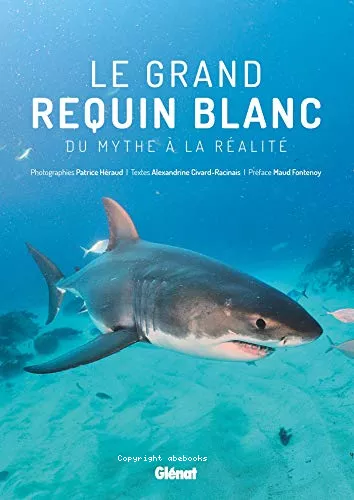 Le grand requin blanc