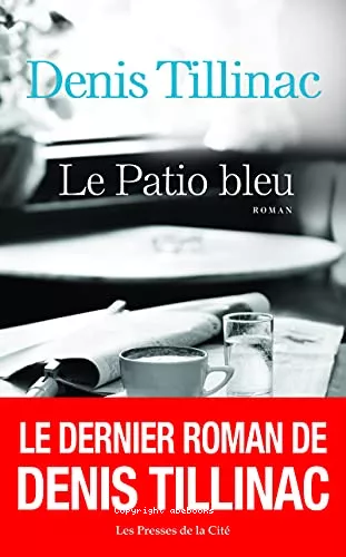 Le patio bleu