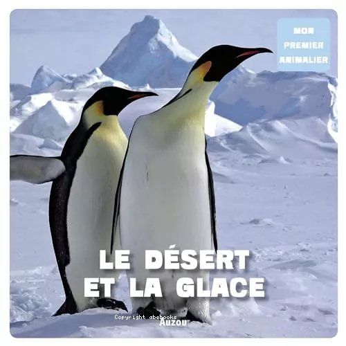 Le dsert et la glace