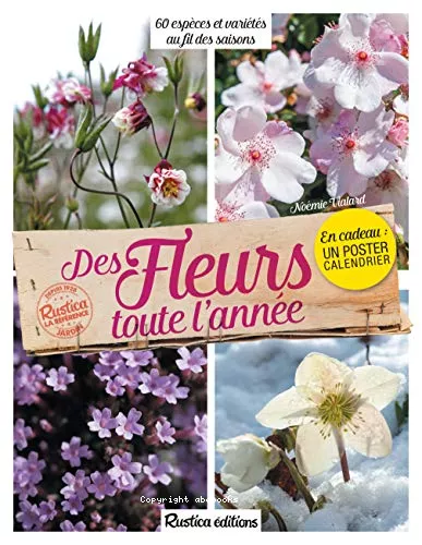 Des fleurs toute l'anne