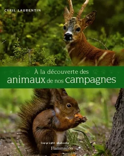 A la dcouverte des animaux de nos campagnes