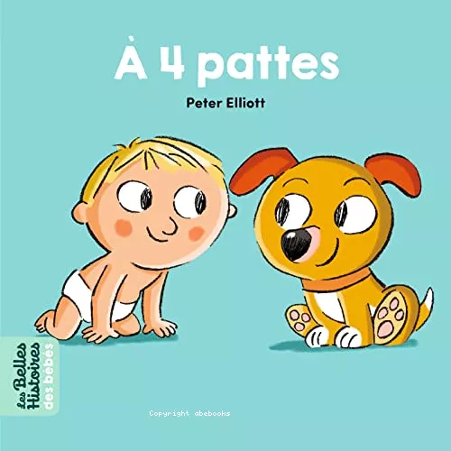 A 4 pattes