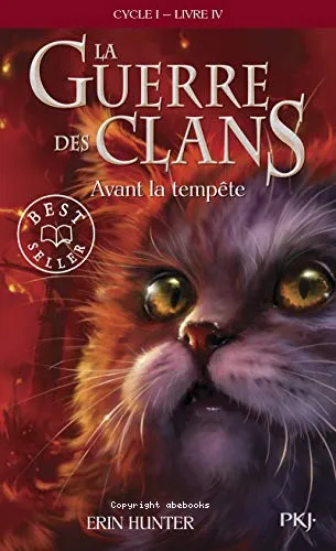 La guerre des clans, cycle 1