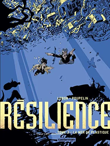 R�silience, cycle 2